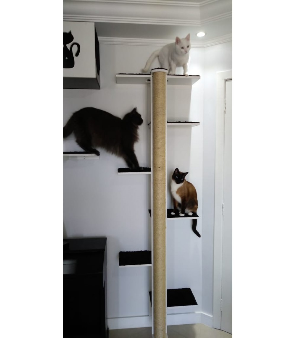 Arranhador tubo gatos Clearance